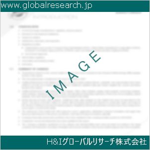 グローバルリサーチ調査資料のイメージ